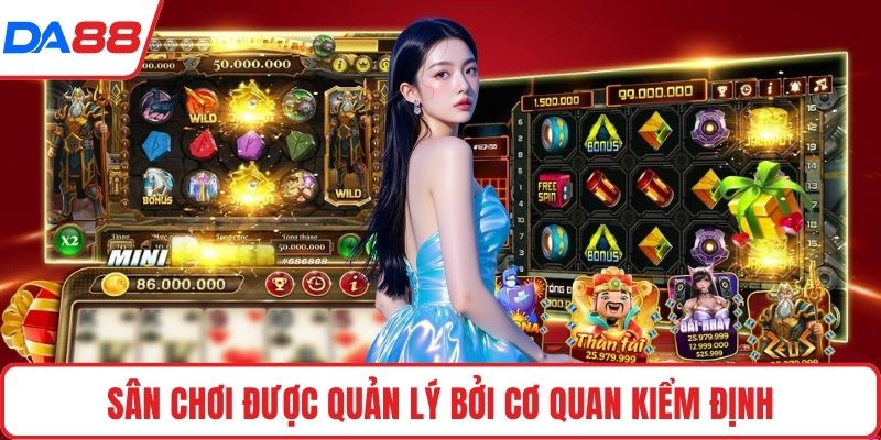 Sân chơi được quản lý bởi cơ quan kiểm định